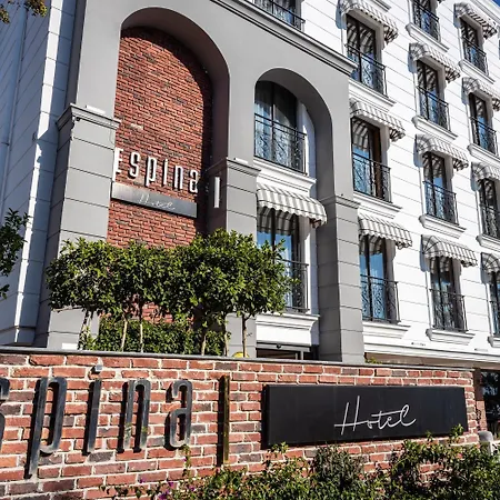 Hotel Espina Antalya