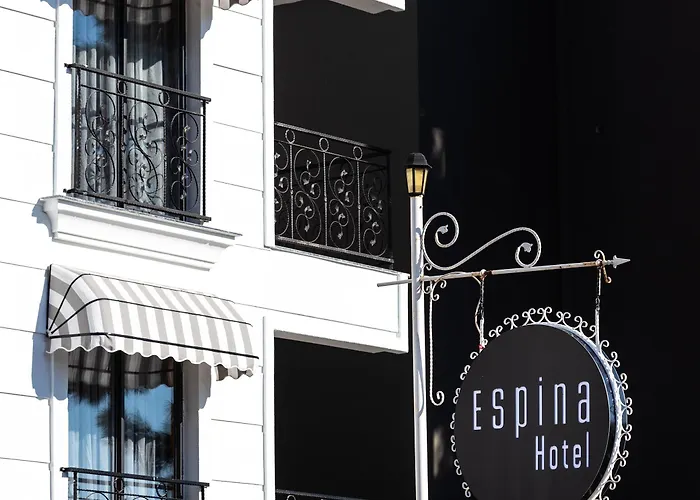 Espina Ξενοδοχείο *